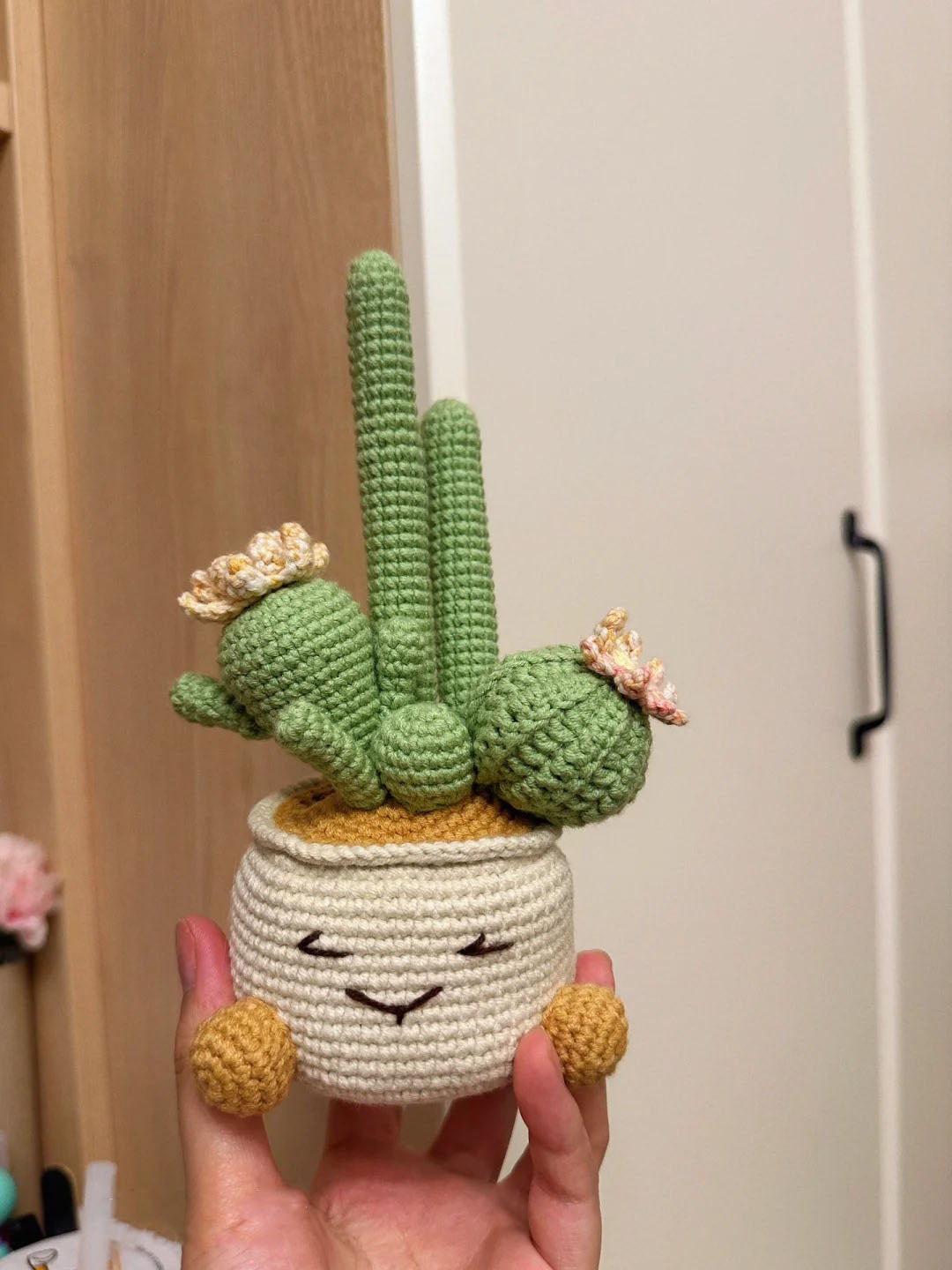 Sitting Cactus Crochet Pattern