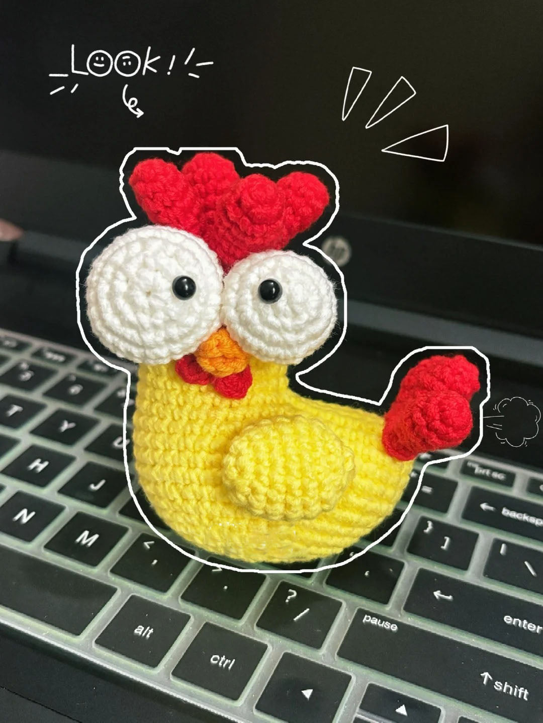 Big Eye Chick Crochet Pattern
